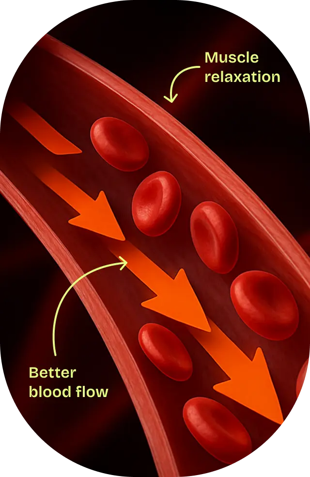 How Do ED Meds Work?